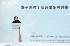MISTINE蜜丝婷：从泰国第一到中国市场中泰