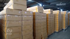 核心 突围拓展多元市场中国外贸企业“两条腿”